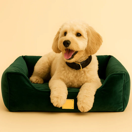 Happy cream-colored Goldendoodle dog resting on a luxurious green velvet pet bed with gold details, against a soft beige background.