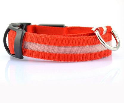 LED Safety Dog Collar – Waterproof, Replaceable Battery, Multiple Sizes