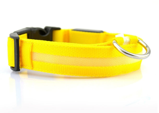 LED Safety Dog Collar – Waterproof, Replaceable Battery, Multiple Sizes