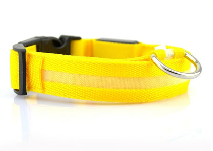 LED Safety Dog Collar – Waterproof, Replaceable Battery, Multiple Sizes