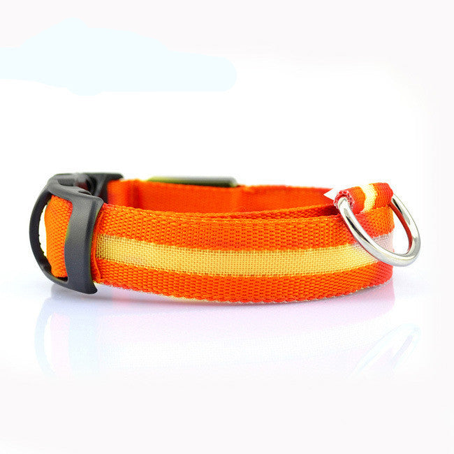 LED Safety Dog Collar – Waterproof, Replaceable Battery, Multiple Sizes