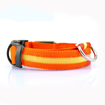LED Safety Dog Collar – Waterproof, Replaceable Battery, Multiple Sizes