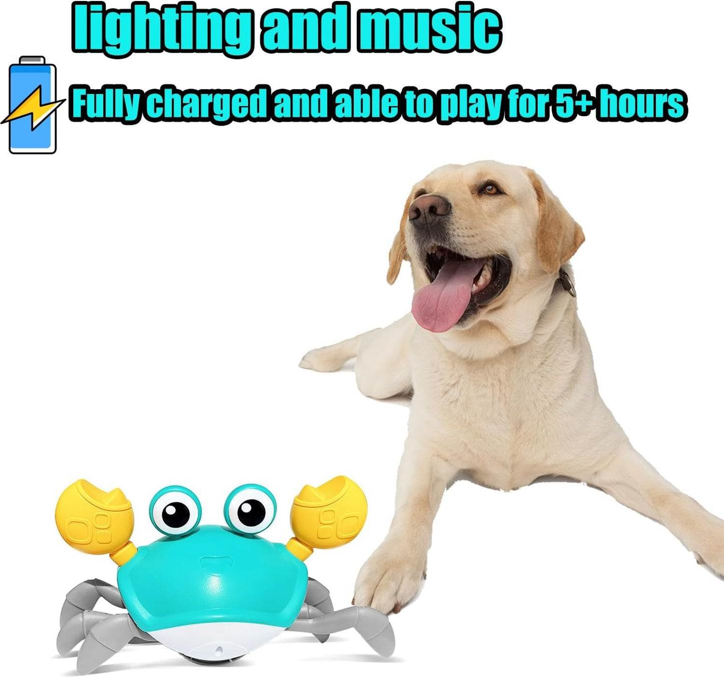 Interactive Crawling Crab Dog Toy – Obstacle Avoidance, Sounds & Lights | For Dogs & Cats