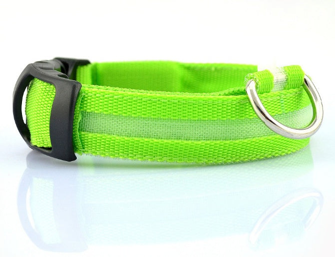 LED Safety Dog Collar – Waterproof, Replaceable Battery, Multiple Sizes