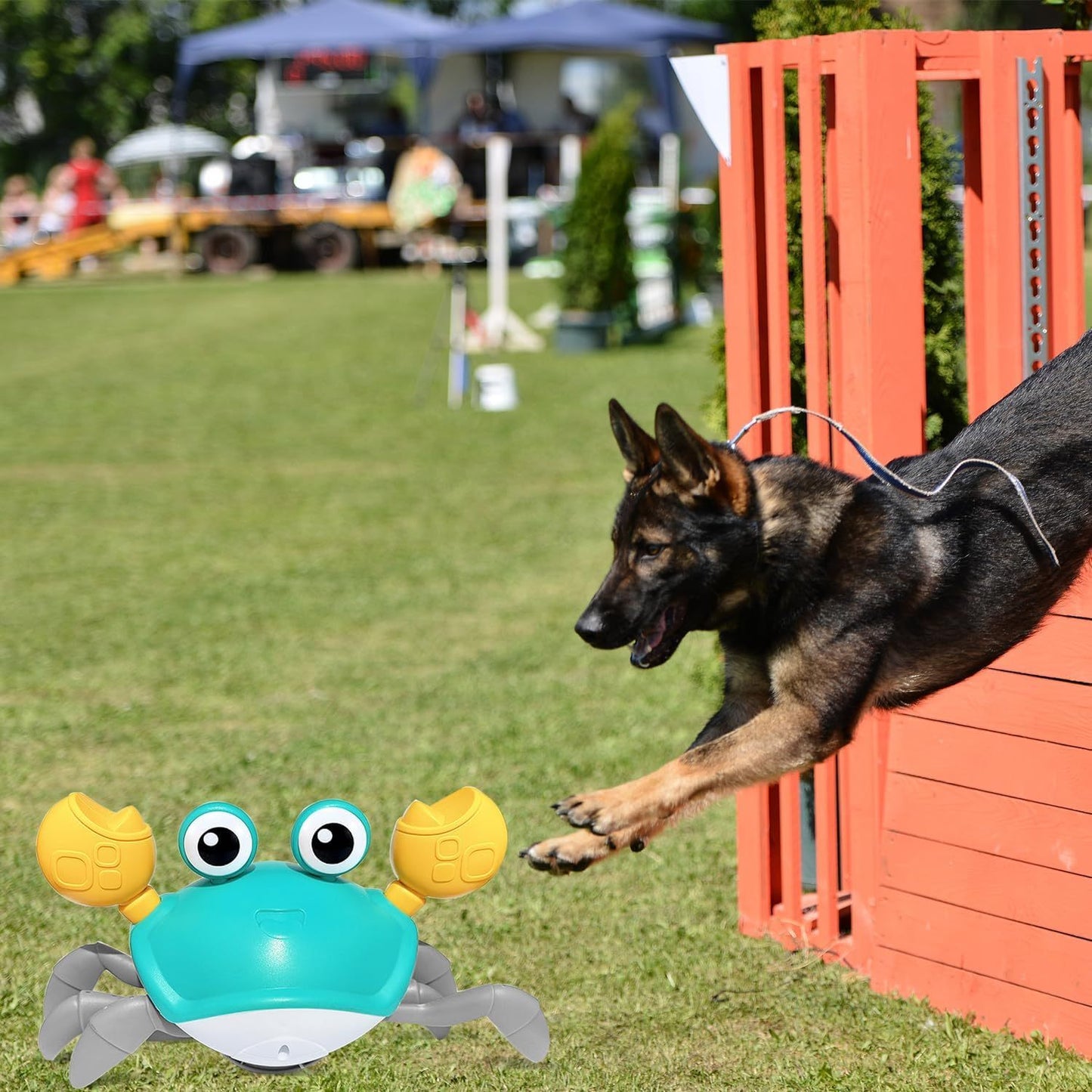 Interactive Crawling Crab Dog Toy – Obstacle Avoidance, Sounds & Lights | For Dogs & Cats