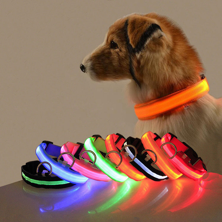 LED Safety Dog Collar – Waterproof, Replaceable Battery, Multiple Sizes