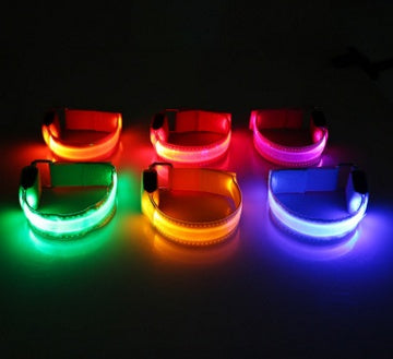 LED Safety Dog Collar – Waterproof, Replaceable Battery, Multiple Sizes