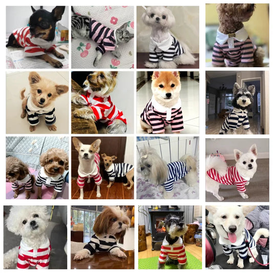 Breathable Summer Polo Shirt for Small & Medium Dogs – Stylish Cotton Cooling Vest