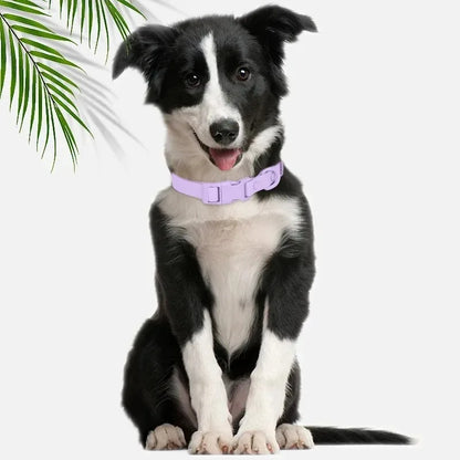 Macaron Waterproof Dog Collar – Adjustable, Dirt-Resistant PVC Pet Collar Set