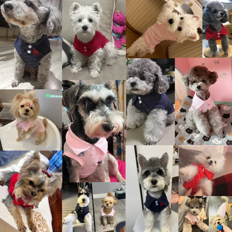 Breathable Summer Polo Shirt for Small & Medium Dogs – Stylish Cotton Cooling Vest