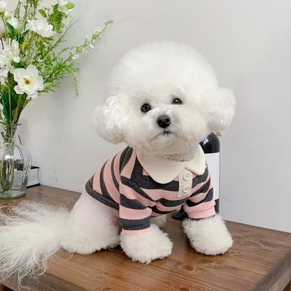 Breathable Summer Polo Shirt for Small & Medium Dogs – Stylish Cotton Cooling Vest