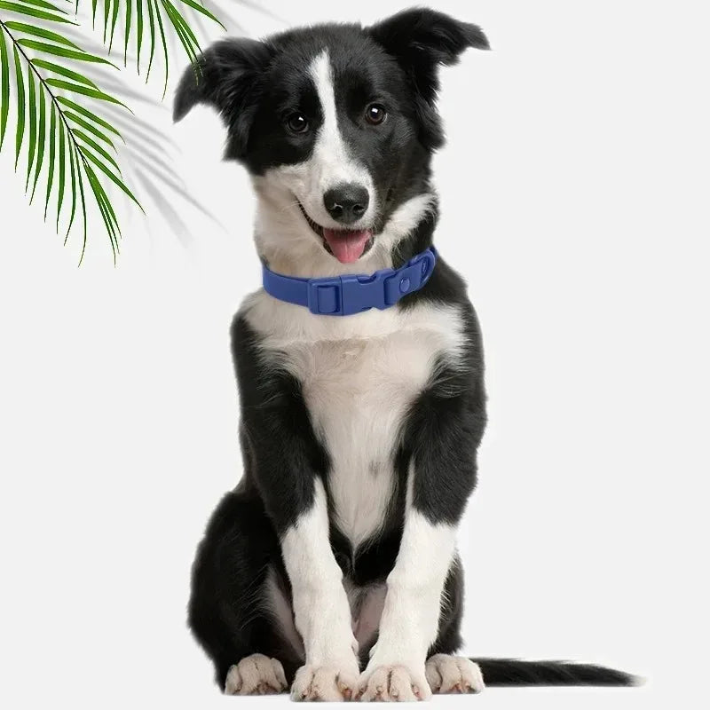 Macaron Waterproof Dog Collar – Adjustable, Dirt-Resistant PVC Pet Collar Set