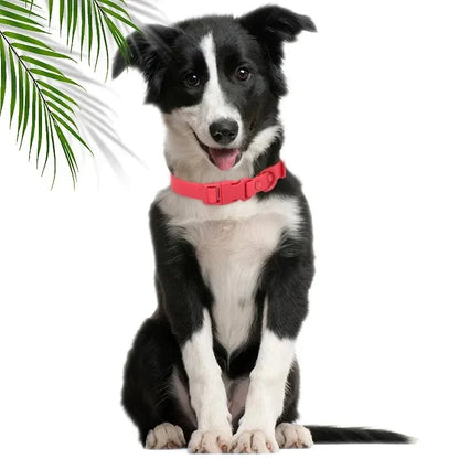 Macaron Waterproof Dog Collar – Adjustable, Dirt-Resistant PVC Pet Collar Set