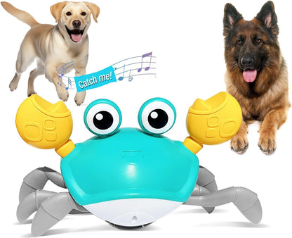 Interactive Crawling Crab Dog Toy – Obstacle Avoidance, Sounds & Lights | For Dogs & Cats